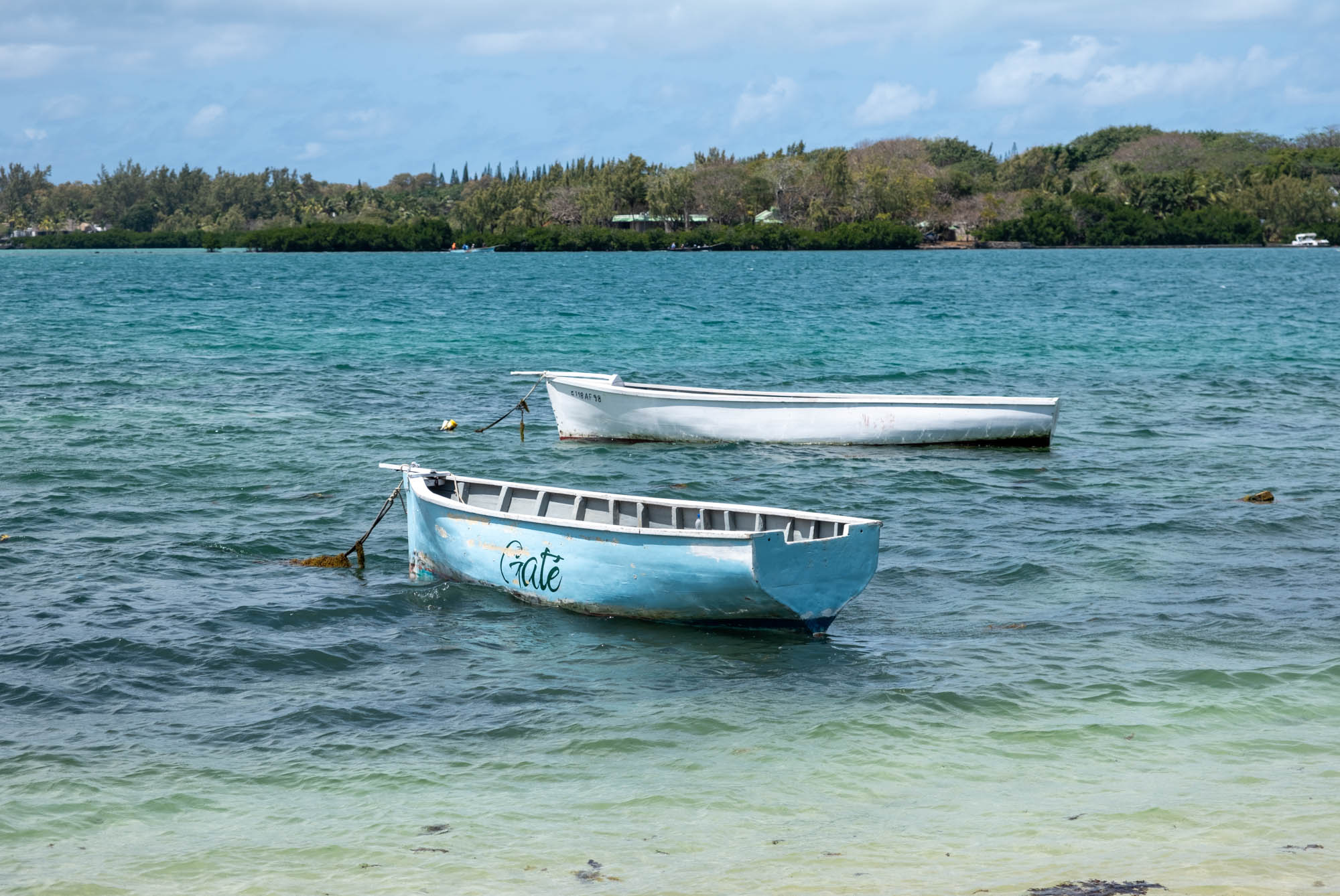 Mauritian Magic